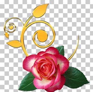 Garden Roses Flower Desktop PNG