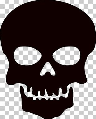 Skull Bone Skeleton Jaw Desktop PNG, Clipart, After Dark, Black And ...