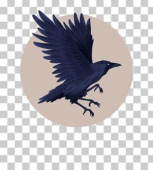 Crows Cartoon Bird PNG, Clipart, Animal, Animals, Animation, Birds ...