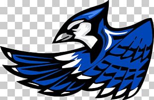 Toronto Blue Jays Lexington High School Logo Dolphin PNG, Clipart