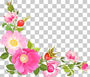 Flower Floral Design Watercolor Painting Png, Clipart, Annual Plant 