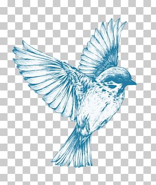 Parrot Bird Drawing Pencil Sketch PNG, Clipart, African Grey, Animal ...