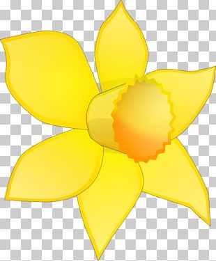 Daffodil Flower PNG, Clipart, Amaryllis Family, Blog, Clip Art ...