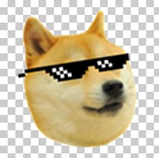 Doge Meme Png Images Doge Meme Clipart Free Download - star doge roblox doge meme on meme