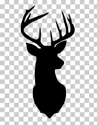 White-tailed Deer Reindeer Silhouette Png, Clipart, Animals, Antler 