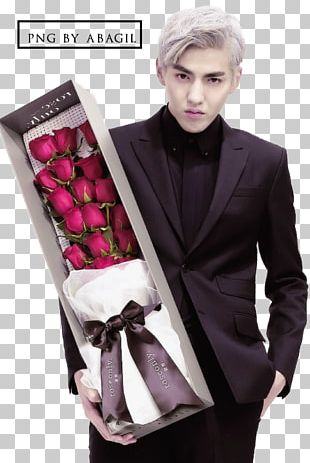 Kris Wu EXO Singer Time Boils the Rain , others transparent background PNG  clipart