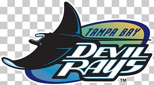 Tampa Bay Rays PNG Image  Transparent PNG Free Download on SeekPNG