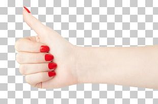 Nail Polish Nail Clipper Red PNG