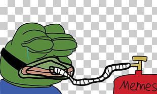 Pepe The Frog Internet Meme Humour PNG, Clipart, 4chan, Amphibian ...