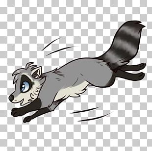 Raccoons Sticker Mustelids Mammal PNG