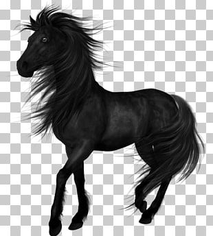 Friesian Horse Logo Illustration PNG, Clipart, Animal, Animals, Black ...