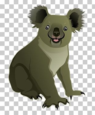 Koala Bear PNG