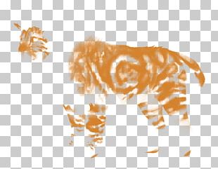 Leopard Lion Giraffe Felidae Rosette PNG, Clipart, Animal Figure ...