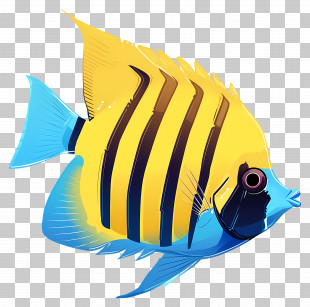 Angelfish - Colorful Tropical Fish Illustration PNG