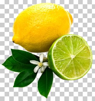 Lemon Balm Herb Juice Mint PNG, Clipart, Eating, Food, Fruit, Fruit Nut ...