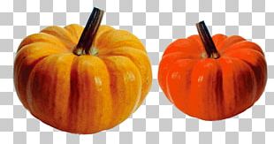 Crookneck Pumpkin Vegetable Turban Squash Auglis PNG