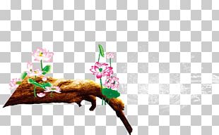 Software Designer PNG