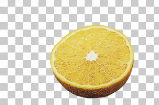 Orange PNG