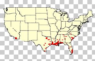 Florida Page New Jersey Texas Coloring Book PNG