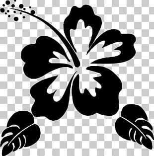 Silhouette Flower Stencil PNG