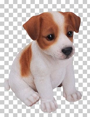 Jack Russell Terrier Puppy Yorkshire Terrier German Shepherd King Charles Spaniel PNG