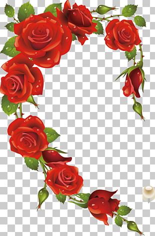 rose frame png images rose frame clipart free download rose frame png images rose frame
