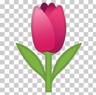 Tulip Emojipedia Netherlands World Emoji Day PNG