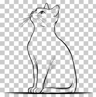 Outline Cat - Line Art Cat PNG