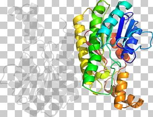 Organism PNG