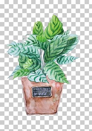 Watercolor Painting PNG