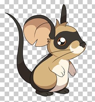 Whiskers Cat Dog Canidae Marsupial PNG