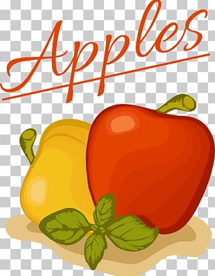 Habanero Bell Pepper Paprika Illustration PNG