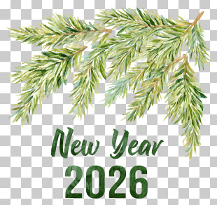 New Year 2026 - New Year 2026 With Pine Branch PNG