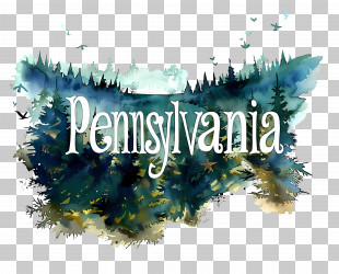 Pennsylvania - Pennsylvania State Map With Forest PNG