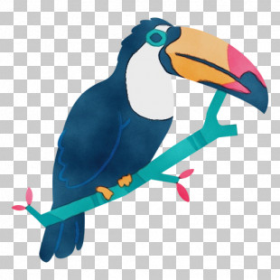 Feather PNG