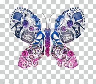 Photographer Photography Creativity Work Of Art PNG