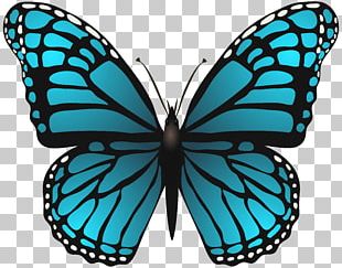 Butterfly Blue Phengaris Alcon PNG, Clipart, Aqua, Azure, Blue, Blue ...