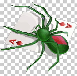 Free download, Spider Patience Google Play iPhone Card game, spider  solitaire transparent background PNG clipart