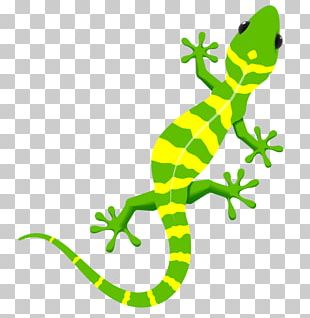 Crested Gecko Lizard Reptile Gekkota PNG, Clipart, Agama, Amphibian ...