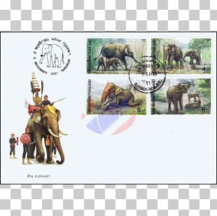 Indian Elephant Pack Animal Figurine PNG