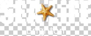 Starfish Body Jewellery PNG