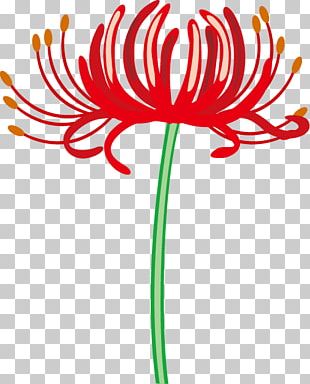 Red Spider Lily Png Images Red Spider Lily Clipart Free Download