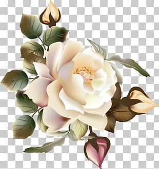 Victorian Era Poetry Of Flowers Rose Png, Clipart, Artificial Flower 