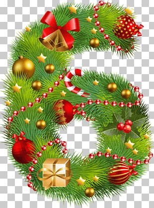 Fir Evergreen Christmas Ornament Pine Family Tree PNG, Clipart ...