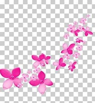 Flower PNG