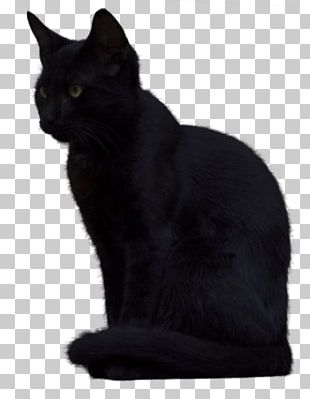 Black Cat Kitten Graphics Png, Clipart, Animals, Black, Black And White 