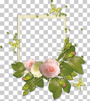 Frame Flower Rose PNG, Clipart, Border, Border Frame, Borders ...