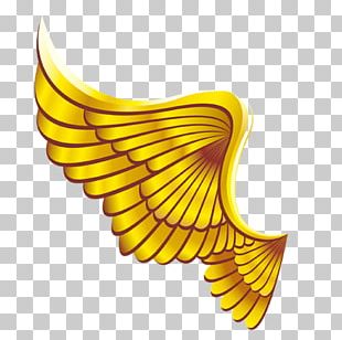 Metal Wing Gold PNG, Clipart, Angel Wing, Angel Wings, Angle, Brand ...