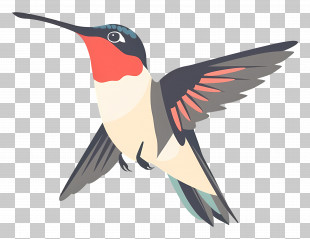 Cartoon Hummingbird - Hummingbird Illustration With Vibrant Colors PNG