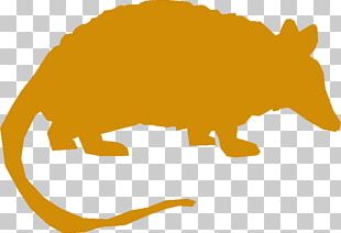 Armadillo T-shirt Clothing PNG